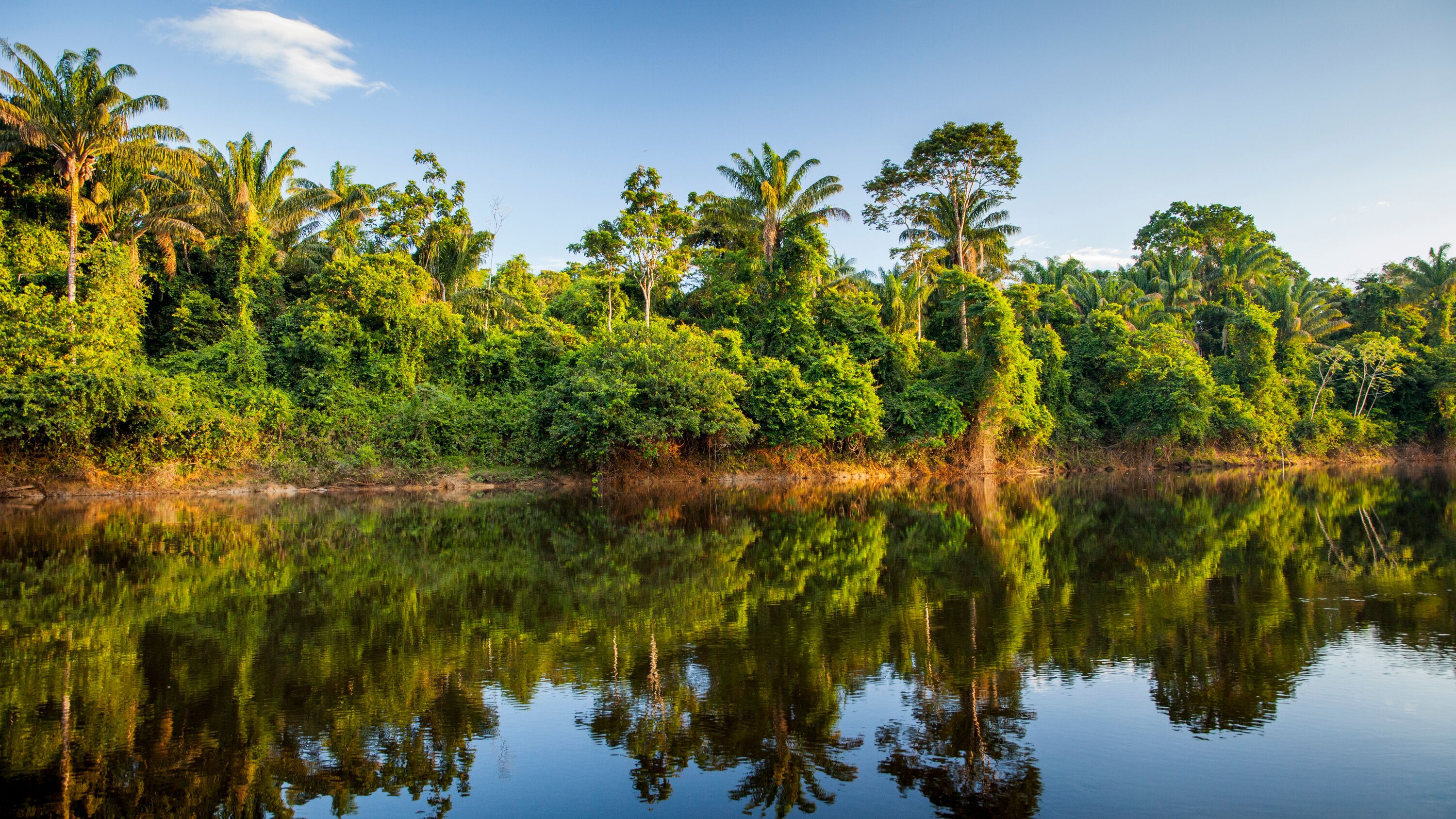 De meest bijzondere bezienswaardigheden van Suriname ANWB